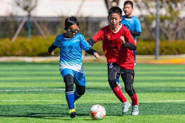 杨瀚森14+10+8青岛险胜广厦 胡金秋空砍32分